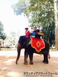 象乗り体験 ぼらぷらカンボジア スタディツアー