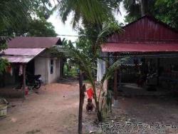 村の家 ぼらぷらカンボジア スタディツアー