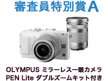 デジタル一眼レフカメラ　OLYMPUS PEN Lite E-PL6