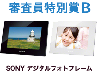 SONY デジタルフォトフレーム（DPF-HD800）
