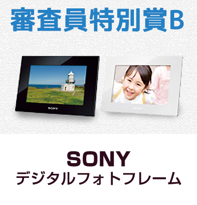 SONY デジタルフォトフレーム（DPF-HD800）