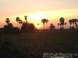 カンボジアからはきれいな夕日が見れます！
