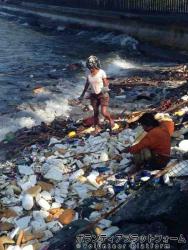 海でゴミを拾ってます ぼらぷらフィリピン　スタディツアー　AE-2015.3.31