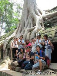 自然の力に圧倒されたタプロム寺院 ぼらぷらカンボジア 教育ボランティア