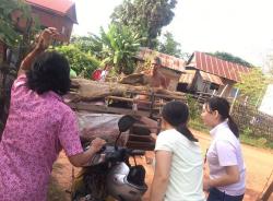豚が売られていく様子 ぼらぷらカンボジア 教育ボランティア