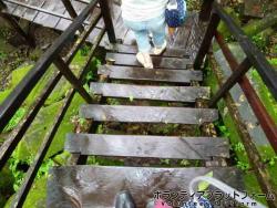 ベンメリアの階段は滑りやすい ぼらぷらカンボジア スタディツアー