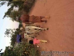 牛を引く面白いおじいさん！ ぼらぷらカンボジア 教育ボランティア