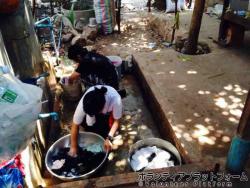 ステイ先:お洗濯 ぼらぷらカンボジア 教育ボランティア