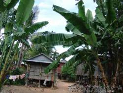 村の風景 ぼらぷらカンボジア 教育ボランティア