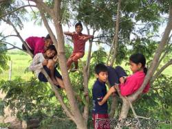 休み時間の子どもの様子 ぼらぷらカンボジア 教育ボランティア