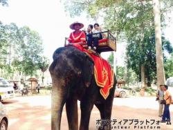 象さんに乗る！ ぼらぷらカンボジア スタディツアー