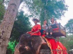 象乗り体験 ぼらぷらカンボジア スタディツアー