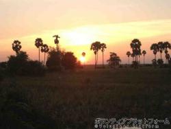 カンボジアからはきれいな夕日が見れます！ ぼらぷらカンボジア 教育ボランティア