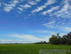 どこまでも続く田園風景と真っ青な空 ぼらぷらカンボジア 教育ボランティア