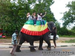 観光で象に乗る ぼらぷらスリランカ　スタディツアー8日間