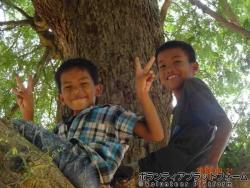 木登り ぼらぷらカンボジア 教育ボランティア