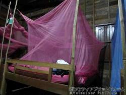 蚊帳付ベッド ぼらぷらカンボジア 教育ボランティア