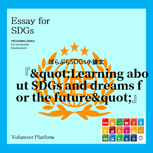 Why learn about SDGs? I participated in a summe...