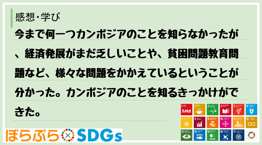 わたしのSDGsアクション・感想