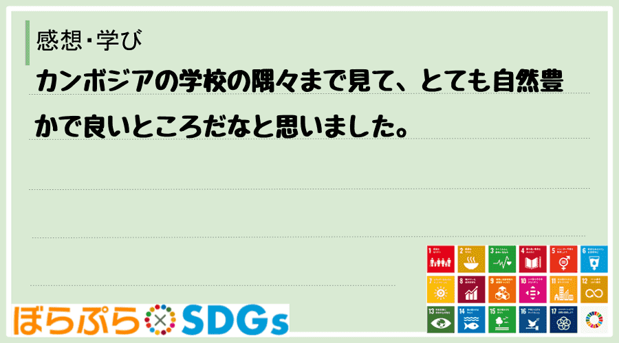 わたしのSDGsアクション・感想