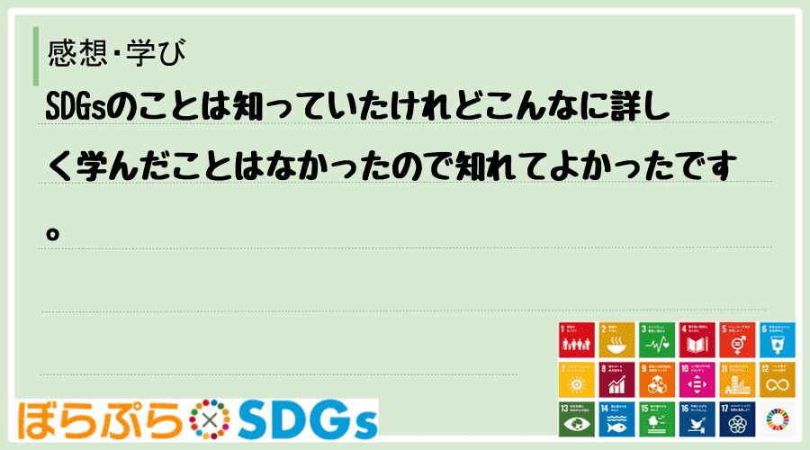 SDGsのことは知っていたけれどこんなに詳しく学んだことはなかったので知れてよかったです。