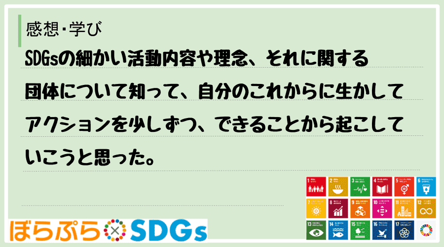 SDGsの細かい活動内容や理念、それに関する団体について知って、自分のこれからに生かしてアクシ...