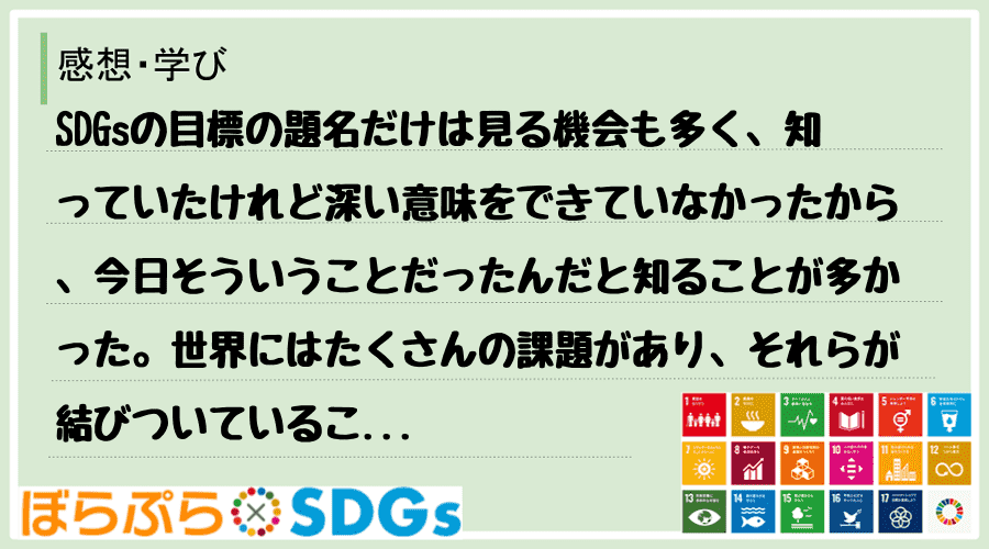 SDGsの目標の題名だけは見る機会も多く、知っていたけれど深い意味をできていなかったから、今日...