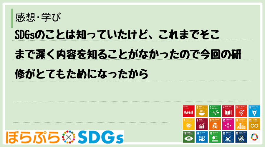 SDGsのことは知っていたけど、これまでそこまで深く内容を知ることがなかったので今回の研修がと...