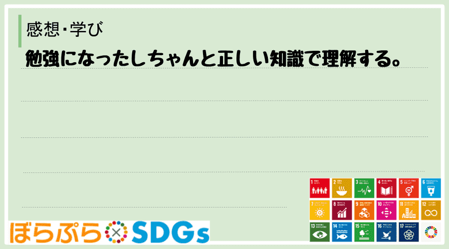 わたしのSDGsアクション・感想