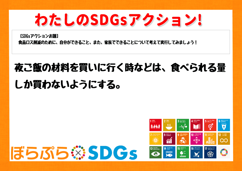 わたしのSDGsアクション・感想