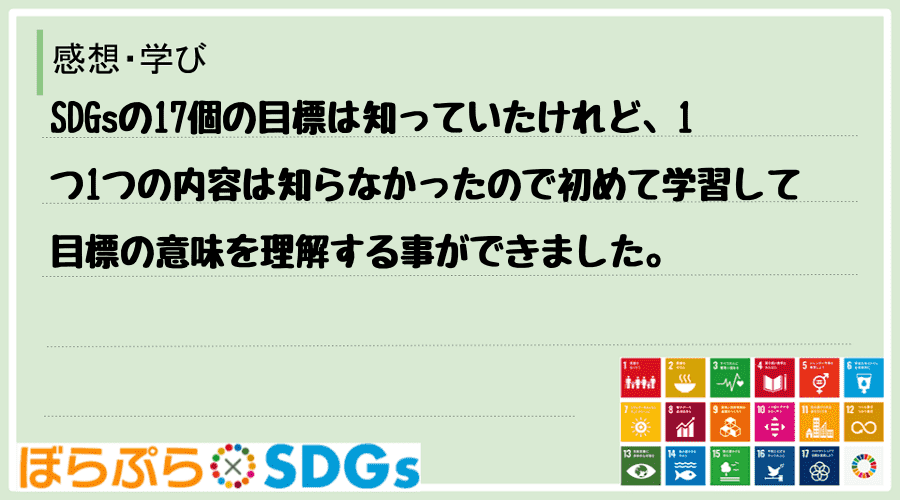 SDGsの17個の目標は知っていたけれど、1つ1つの内容は知らなかったので初めて学習して目標の...