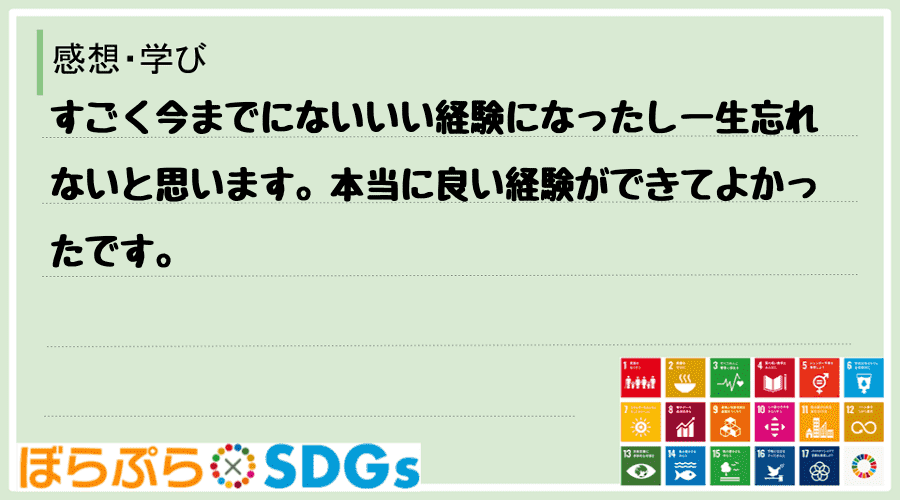 わたしのSDGsアクション・感想