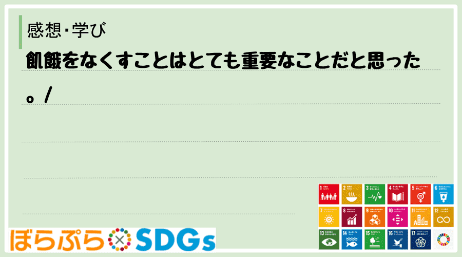 わたしのSDGsアクション・感想