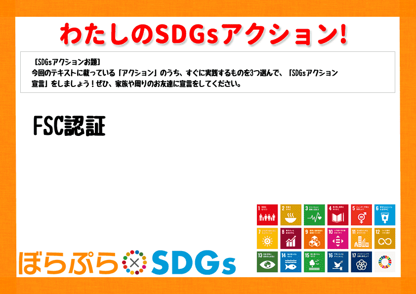 わたしのSDGsアクション・感想