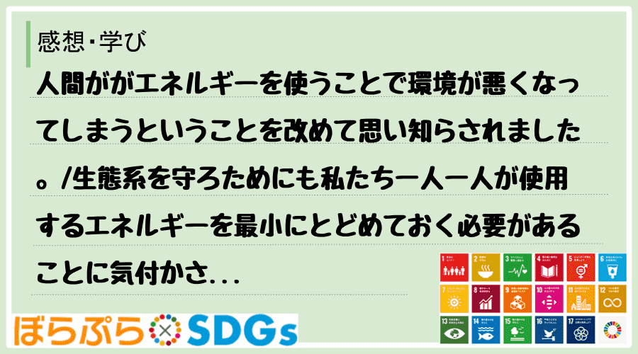 わたしのSDGsアクション・感想