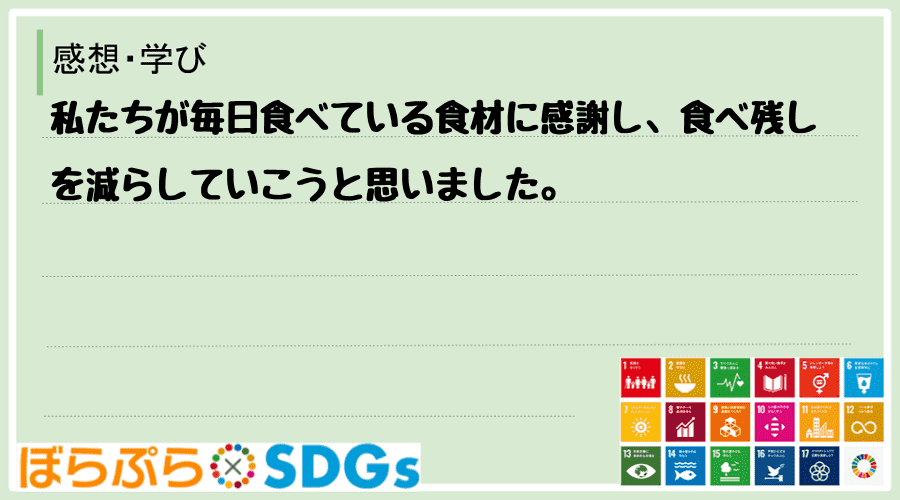 わたしのSDGsアクション・感想