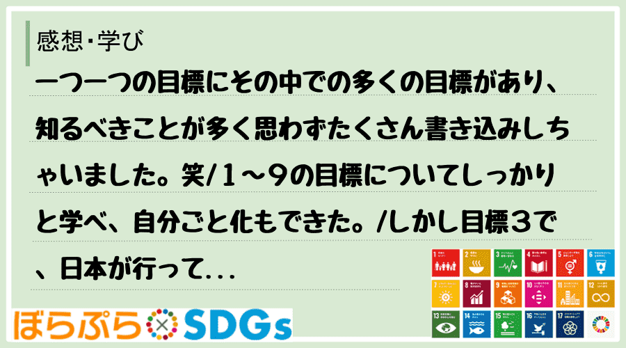 一つ一つの目標にその中での多くの目標があり、知るべきことが多く思わずたくさん書き込みしちゃいま...