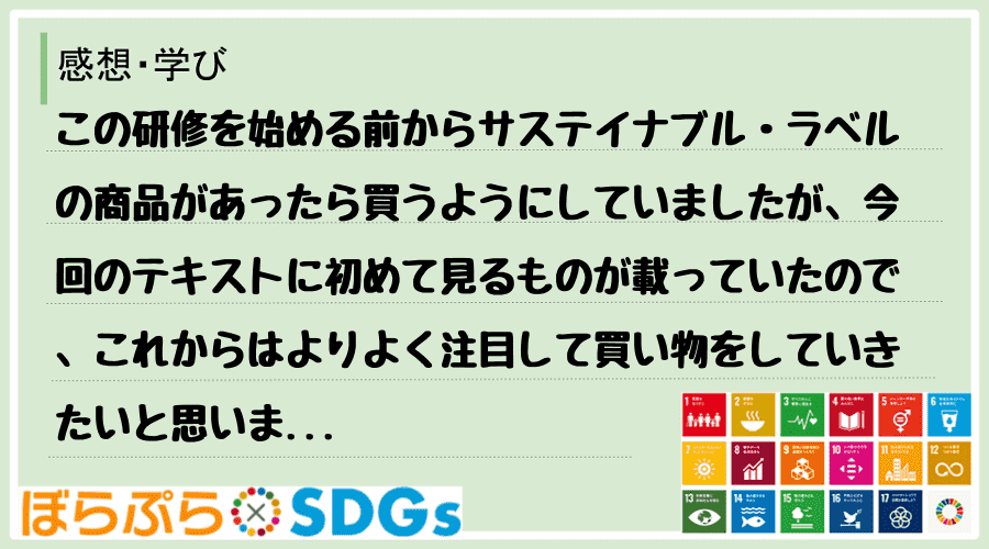 わたしのSDGsアクション・感想