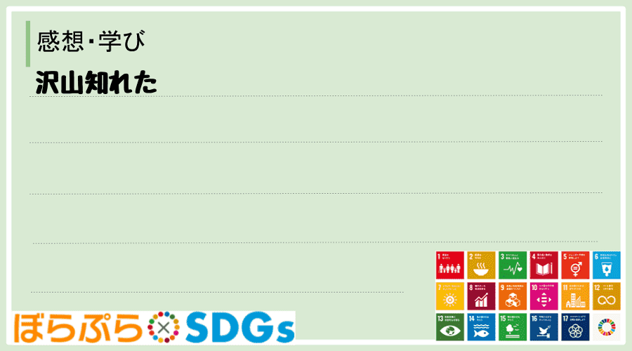 わたしのSDGsアクション・感想