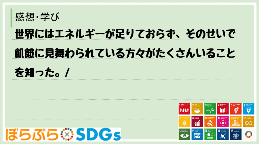 わたしのSDGsアクション・感想