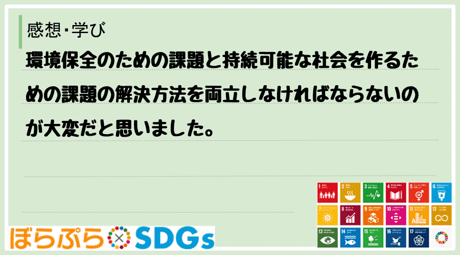 わたしのSDGsアクション・感想