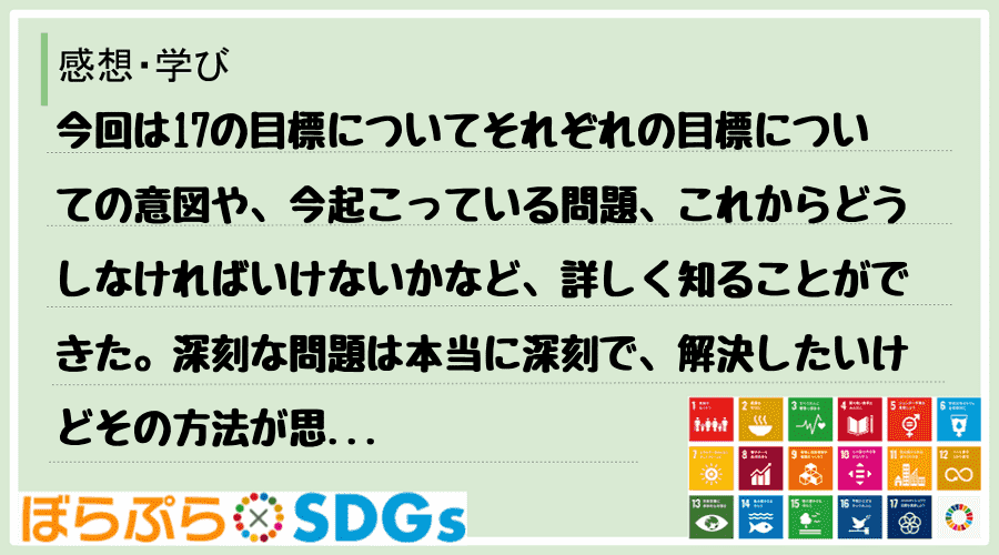 今回は17の目標についてそれぞれの目標についての意図や、今起こっている問題、これからどうしなけ...