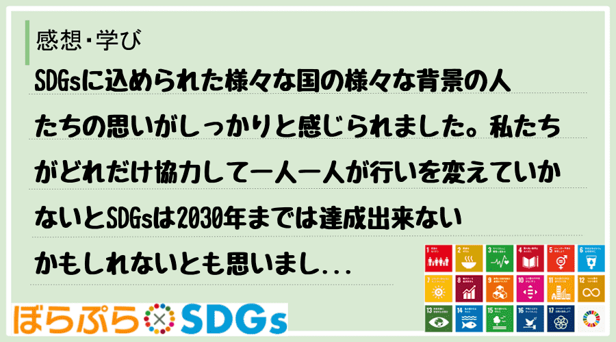 SDGsに込められた様々な国の様々な背景の人たちの思いがしっかりと感じられました。私たちがどれ...