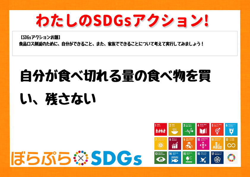 わたしのSDGsアクション・感想