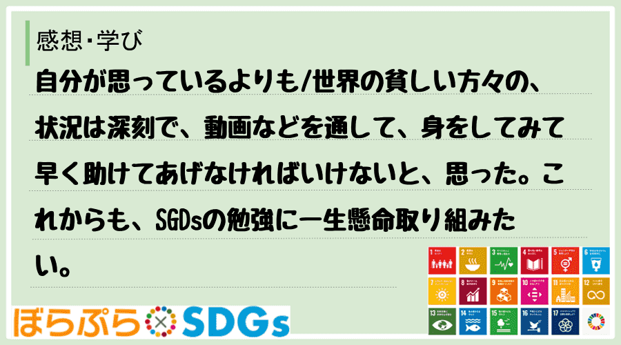 わたしのSDGsアクション・感想