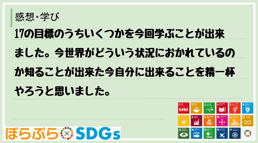 わたしのSDGsアクション・感想