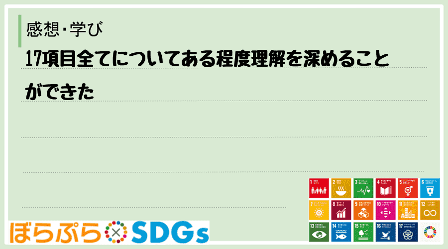 17項目全てについてある程度理解を深めることができた