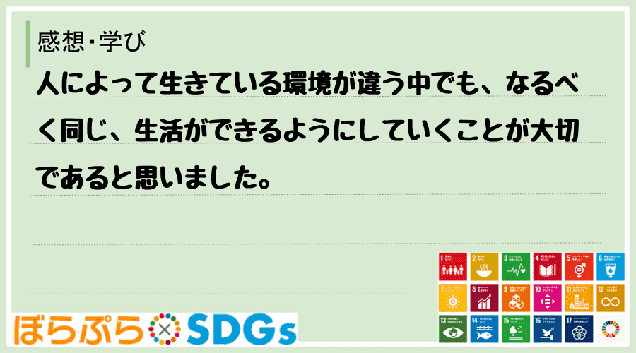 わたしのSDGsアクション・感想