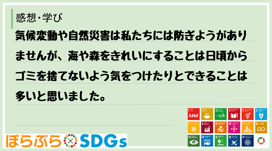 わたしのSDGsアクション・感想