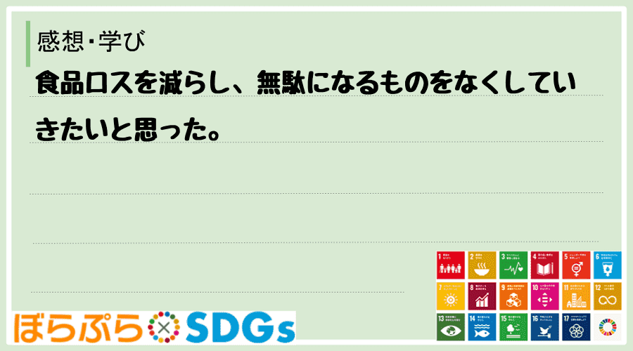 わたしのSDGsアクション・感想